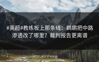 #英超#教练板上那条线：鹈鹕把中路渗透改了哪里？裁判报告更离谱