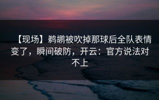 【现场】鹈鹕被吹掉那球后全队表情变了，瞬间破防，开云：官方说法对不上