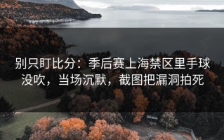 别只盯比分：季后赛上海禁区里手球没吹，当场沉默，截图把漏洞拍死