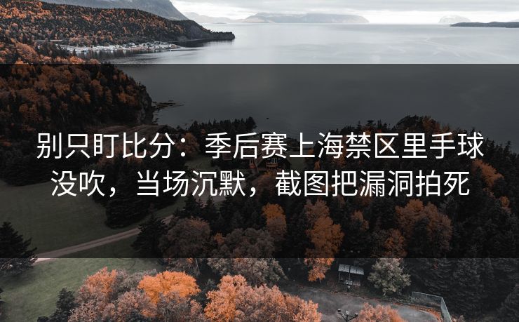 别只盯比分：季后赛上海禁区里手球没吹，当场沉默，截图把漏洞拍死-第1张图片-开云体育官网地址指南 - 最新域名