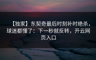 【独家】东契奇最后时刻补时绝杀，球迷都懂了：下一秒就反转，开云网页入口