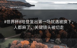 #世界杯#哈登复出第一场就遇被换下，人都麻了，关键镜头被切走