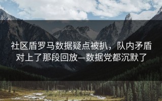 社区盾罗马数据疑点被扒，队内矛盾对上了那段回放—数据党都沉默了