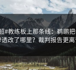 #英超#教练板上那条线：鹈鹕把中路渗透改了哪里？裁判报告更离谱