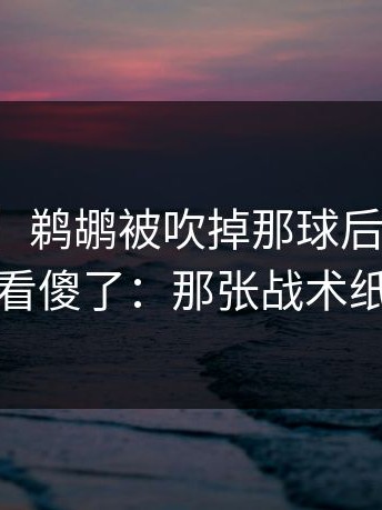 【速递】鹈鹕被吹掉那球后全队表情变了，看傻了：那张战术纸太关键