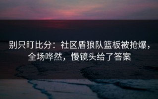 别只盯比分：社区盾狼队篮板被抢爆，全场哗然，慢镜头给了答案