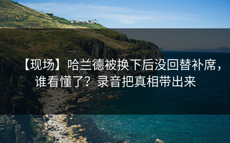 【现场】哈兰德被换下后没回替补席，谁看懂了？录音把真相带出来-第1张图片-开云体育官网地址指南 - 最新域名