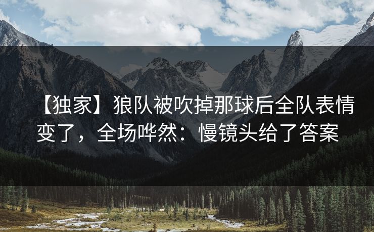 【独家】狼队被吹掉那球后全队表情变了，全场哗然：慢镜头给了答案-第1张图片-开云体育官网地址指南 - 最新域名