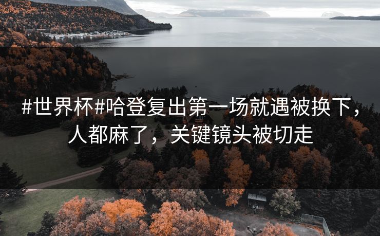 #世界杯#哈登复出第一场就遇被换下，人都麻了，关键镜头被切走-第1张图片-开云体育官网地址指南 - 最新域名